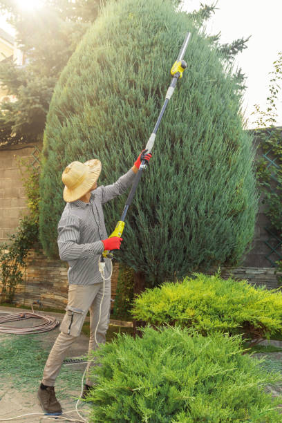 Leaf Removal in Anna, OH